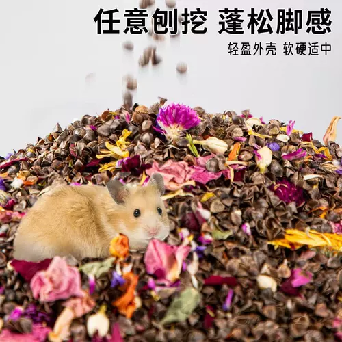 Биологическое фермент гречневый песчаный хомяки летнее охлаждение