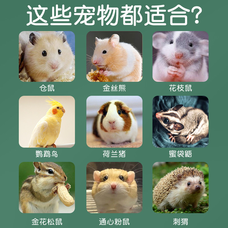 金丝熊仓鼠自动喂食器食盆盒粮食投喂兔子吃饭碗防翻专用品大容量,淘宝优惠券,粉丝福利购,淘宝优惠卷