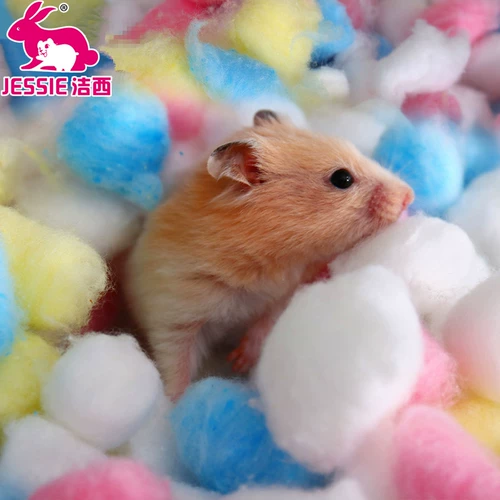 Подвесные ватные шарики над зимним цветом хлопковые стеганые одеяла Золотые шелковые медведи, хлопок, хлопковые теплые 100 капсул, 2 куска бесплатной доставки небольшие гнезда