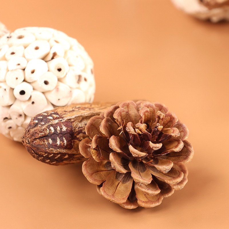 8玖-鹦鹉藤球通草球啃咬玩具陪伴磨牙互动解闷发泄玄风虎皮鸟用品,淘宝优惠券,粉丝福利购,淘宝优惠卷