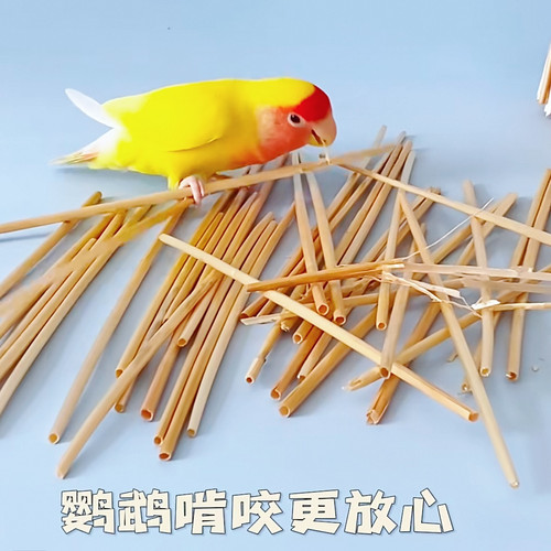 8玖-鹦鹉啃咬玩具天然麦秆小麦杆子消耗宠物用品鸟用具玄凤牡丹 - 图2