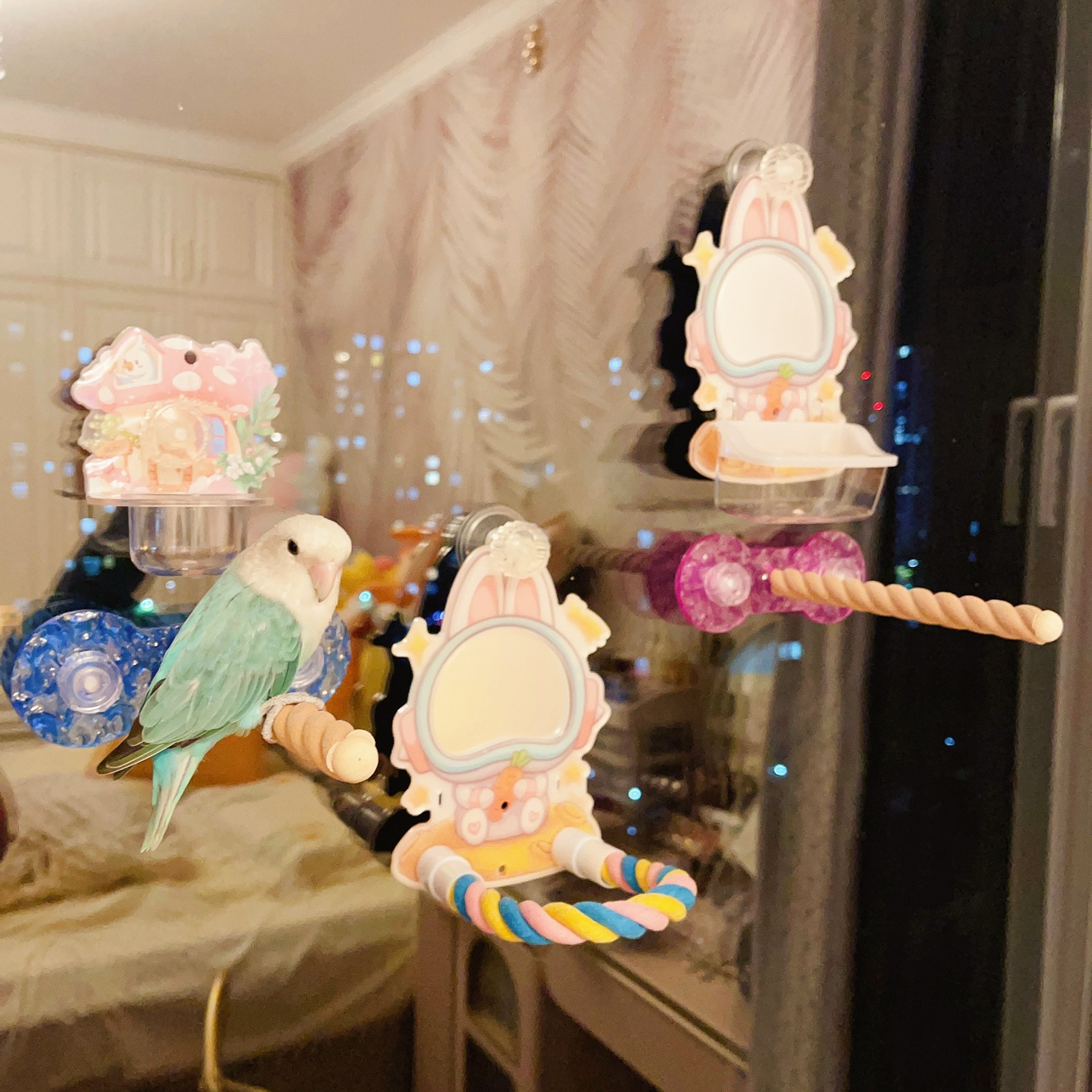 8玖-亚克力鹦鹉空中站架玻璃瓷砖吸盘站杆牡丹玄凤鸟架外出便携 - 图2