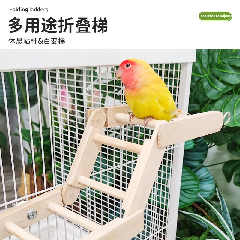 8玖-鹦鹉云梯站杆可调节多用折叠梯子玄凤牡丹虎皮宠物用品玩具,淘宝优惠券,粉丝福利购,淘宝优惠卷