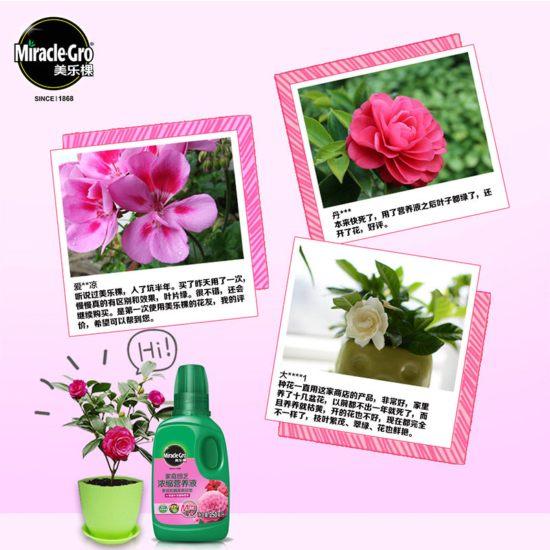 美乐棵喜酸三角梅茶花栀子花茉莉花杜鹃花养花专用花肥营养液肥料,淘宝优惠券,粉丝福利购,淘宝优惠卷