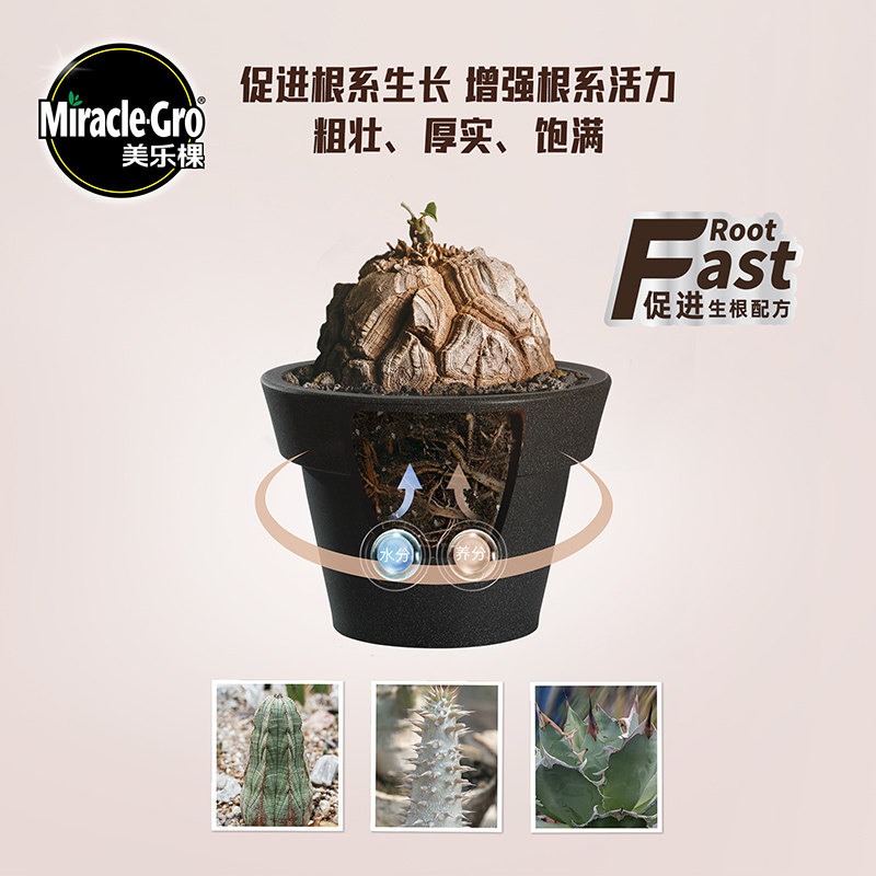 美乐棵块根营养液龟甲龙象牙宫龙舌兰盆栽肥促生根不烧苗改良土壤,淘宝优惠券,粉丝福利购,淘宝优惠卷