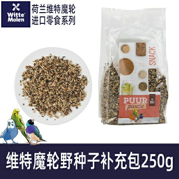 野生种子 新人首单立减十元 21年8月 淘宝海外