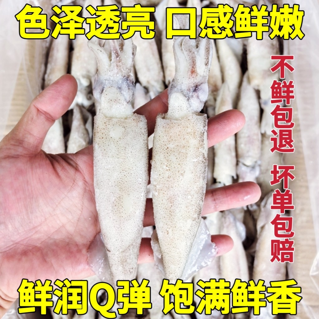 新鲜籽乌海兔笔管鱼小鱿鱼仔鲜活冷冻墨鱼八爪鱼乌贼无冰海鲜水产,淘宝优惠券,粉丝福利购,淘宝优惠卷