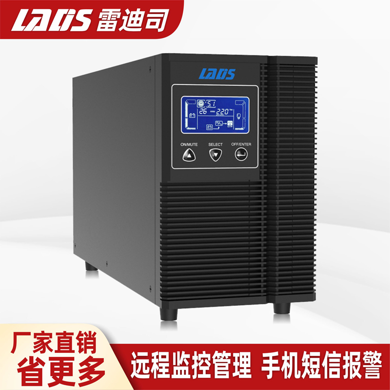 雷迪司UPS不间断电源G1K在线式1KVA/800W 电脑服务器监控稳压220V - 图0