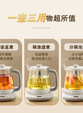 荣事达养生壶YSH1759Y大火力316发热盘带滤网1.7升大容量水壶