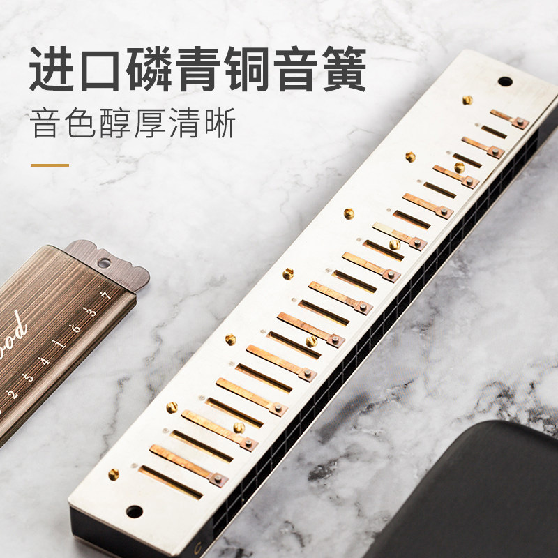 romusic旗舰店romusic口琴初学者学生24孔C调复音儿童成人专业演奏入门小众乐器3