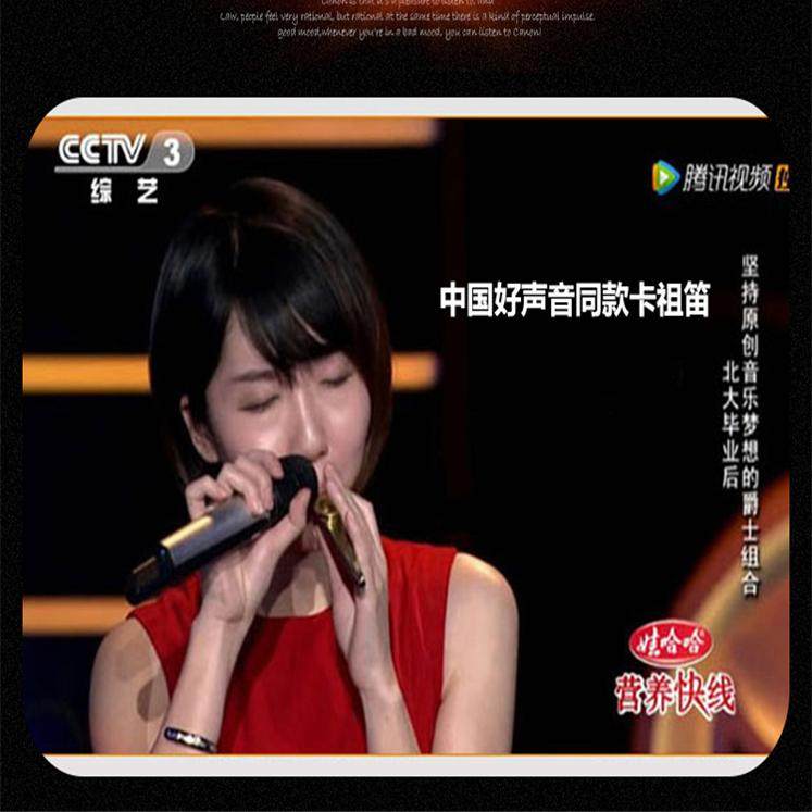 金属卡祖笛专业木制演奏级实木卡祖笛简单易学萨克斯小乐器卡祖笛,淘宝优惠券,粉丝福利购,淘宝优惠卷