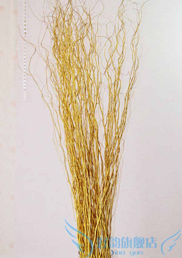 云龙柳 新人首单立减十元 21年7月 淘宝海外