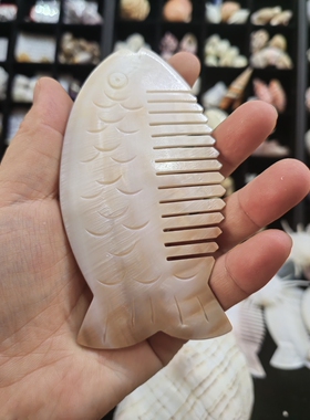 包邮天然贝壳海螺刮痧