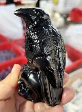Natural Black Obsidian Crow With Skull Carving Powerful Anim