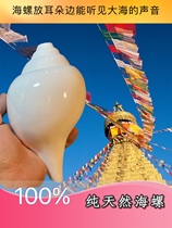 Nepal Imported Natural White Sea Snail Adornment Pendulum Multi-Model Optional Can Blow Louder