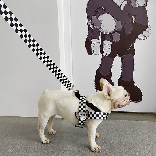 Trendy brand dog leash small and medium-sized dog KAJIPET