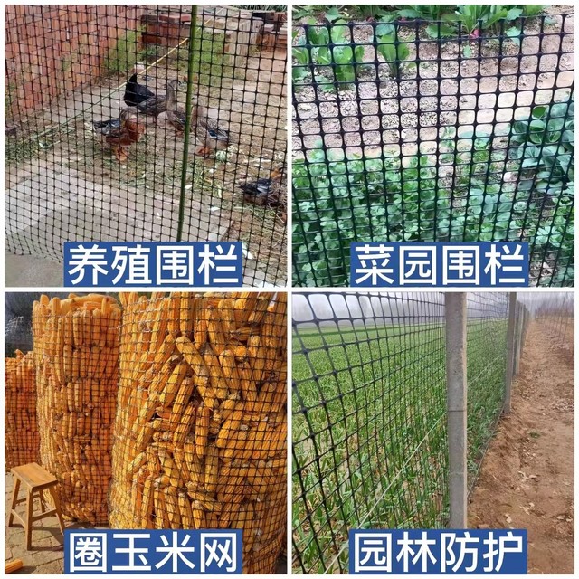 Plastic grid protection farming vegetable garden fence outdoor chicken net  sub-circle corn leakage manure foot