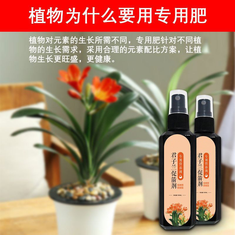君子兰营养液专用肥兰花促箭防黄叶治烂根家用盆栽植物通用花肥料