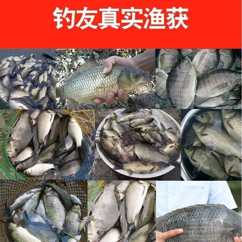 正品野钓浓缩红虫液浓腥开口剂诱鱼剂鲫鱼钓鱼小药鱼饵鱼饵诱食剂,淘宝优惠券,粉丝福利购,淘宝优惠卷