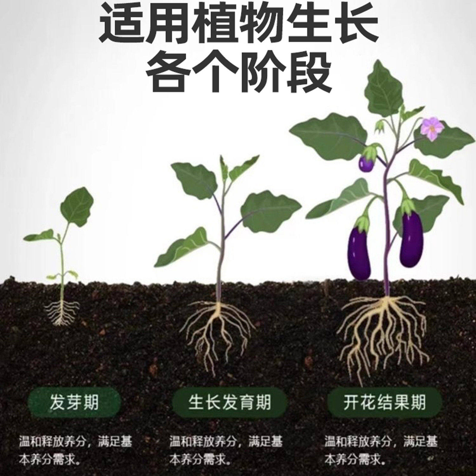 农用小苏打除虫杀菌增产种菜叶面肥碳酸氢钠农作物花卉蔬菜果树,淘宝优惠券,粉丝福利购,淘宝优惠卷