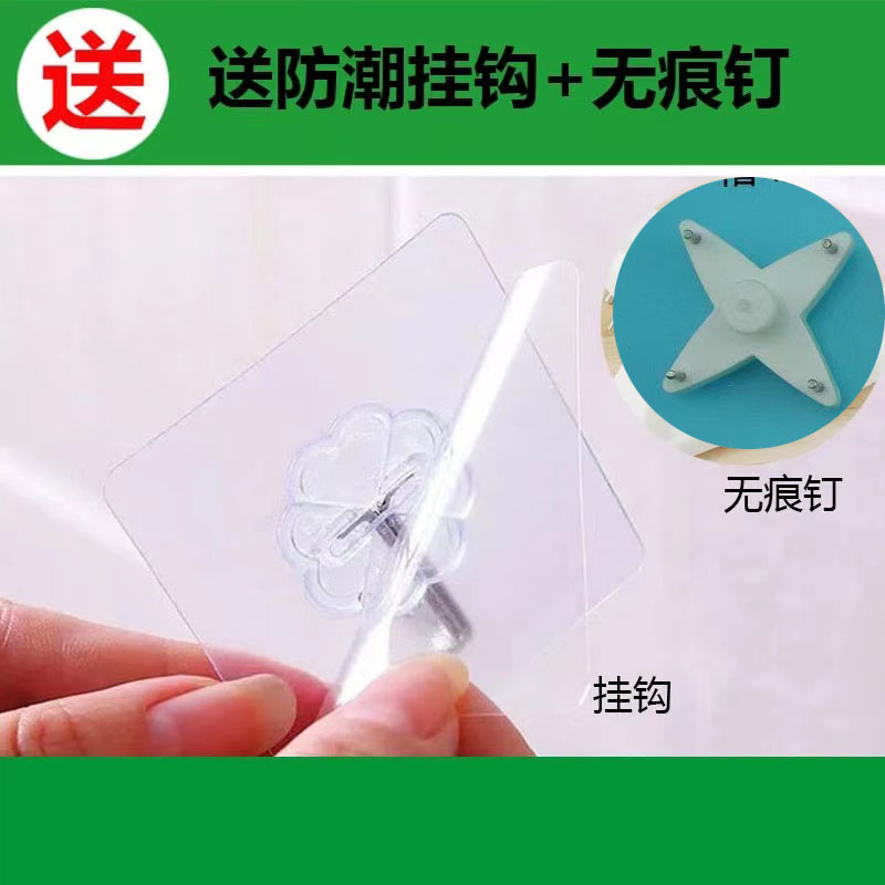 挂墙绿萝盆栽室内壁挂绿箩水培植物花卉好养客厅挂墙上花盆 - 图2