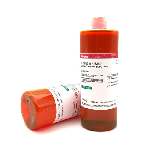 伊红染色液 水溶 Eosin Stain 科研实验 进口配方 PH0500 PHYGENE - 图1