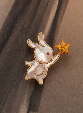 摘星兔贝母五角星锆石胸针轻奢