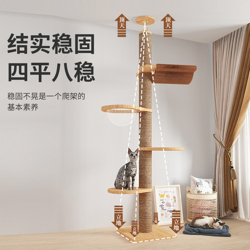 猫爬架通天柱猫跳台顶天立地猫抓柱猫窝猫树一体实木通顶猫架猫柱 - 图0