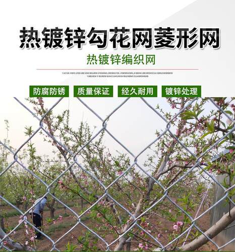 热镀锌勾花网铁丝网果园农场防护网菱形围栏养猪羊围栏网护栏网 - 图0