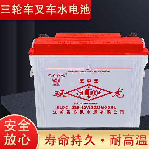 双龙铅酸蓄电池12v电动载重三轮车工程车电叉车水电瓶228型318型 - 图1