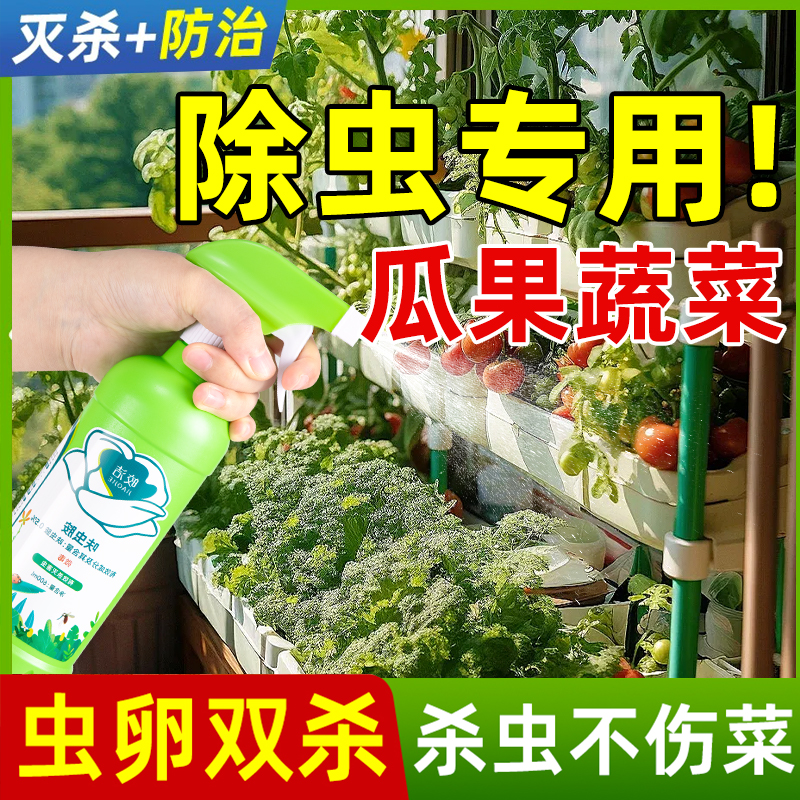 百虫清阳台辣椒蔬菜专用杀虫药剂农用非无毒菜园地瓜果杀除虫大全 - 图0