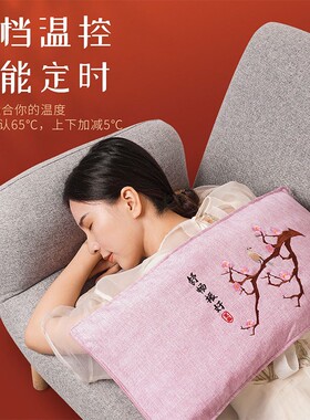 茗振海盐草本加大腰背插电热敷包