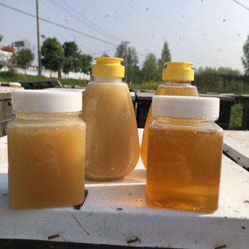 蜂蜜荔枝蜜 荆条、野枣、椴树花、洋槐蜜 纯.真蜜口感香馥。新蜜 - 图0