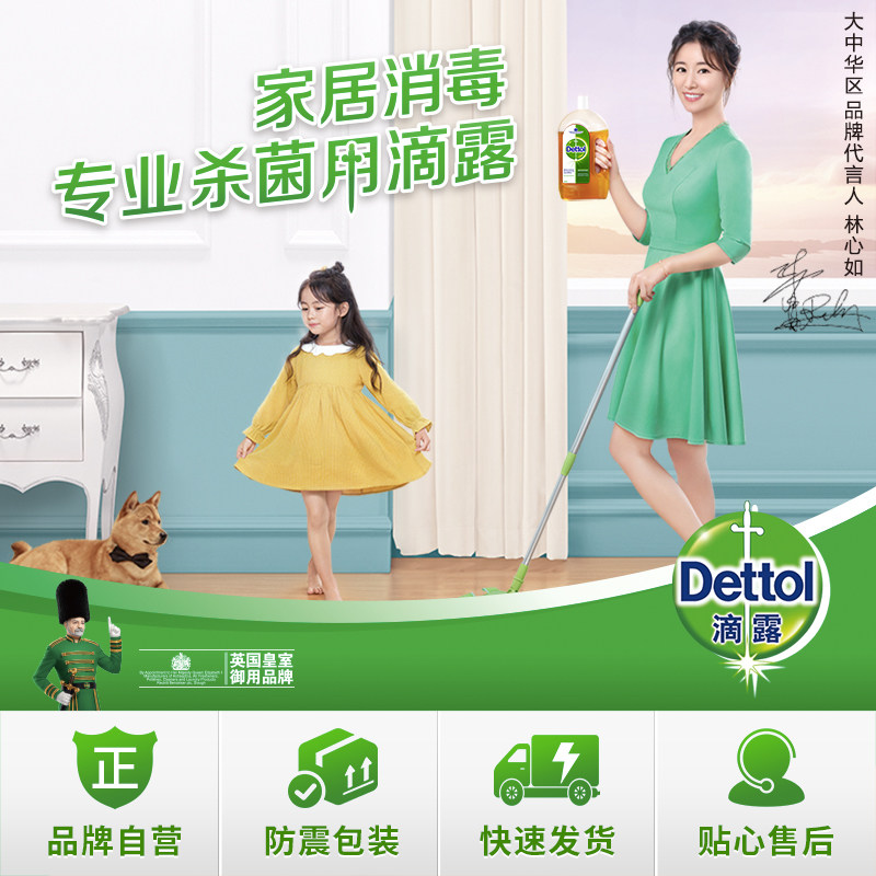 滴露dettol1l*2家用杀菌室内消毒液 利洁时海外消毒液