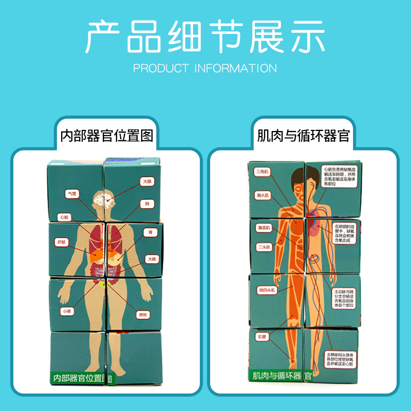 儿童手工diy制作认识人体器官魔方盒子全套装学生科学实验教具-图1