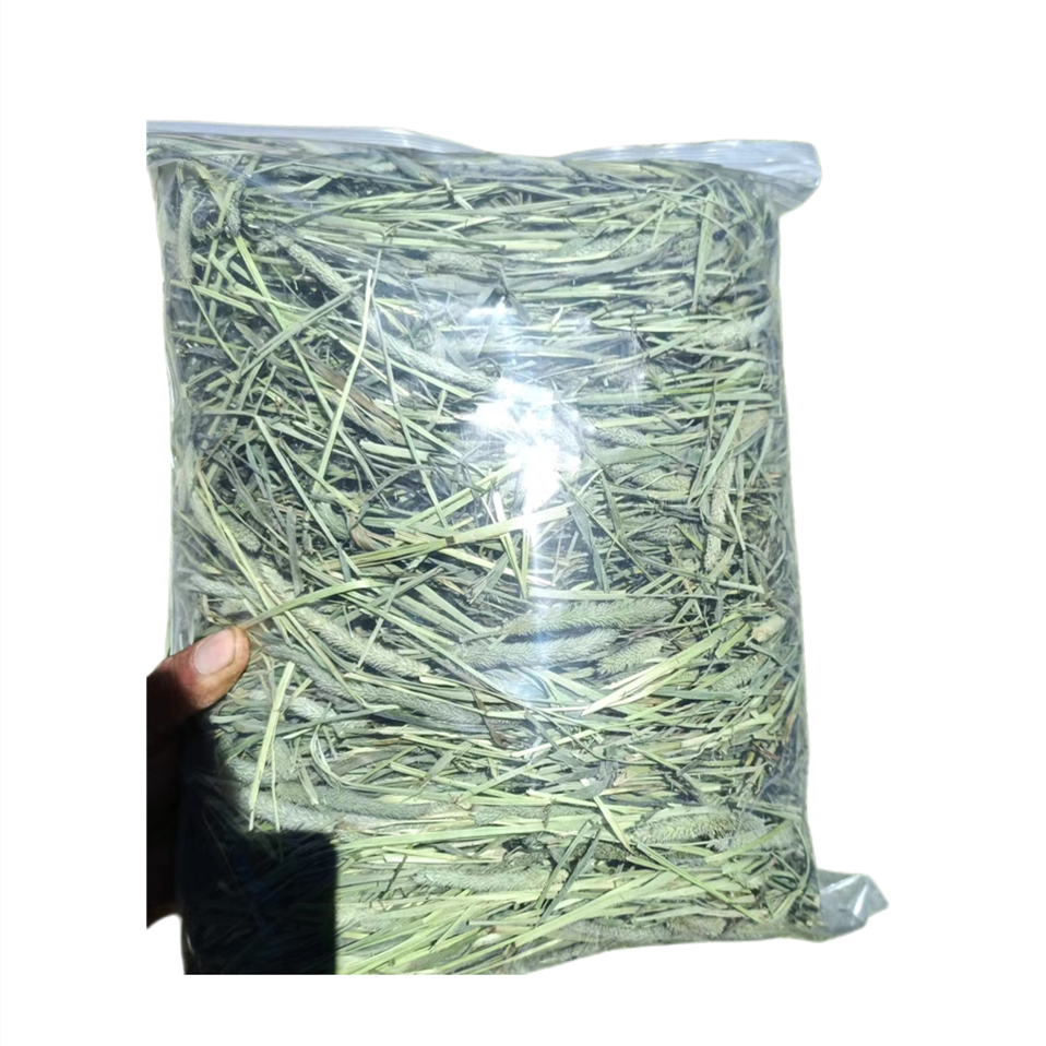 2025新头茬晒干北提摩西草干草兔兔干草龙猫牧草荷兰猪饲料磨牙草,淘宝优惠券,粉丝福利购,淘宝优惠卷
