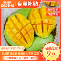 Vietnam imports Yumang tropical when it makes fruit extra-large mango 8 catty whole box of pregnant woman fresh fruit