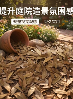 干杨梅叶平方铺设地面抑草造景