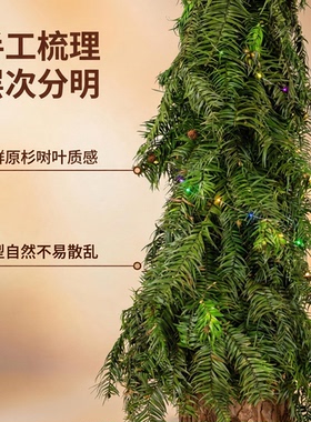 杉树叶小树型摆件橱窗陈列森系
