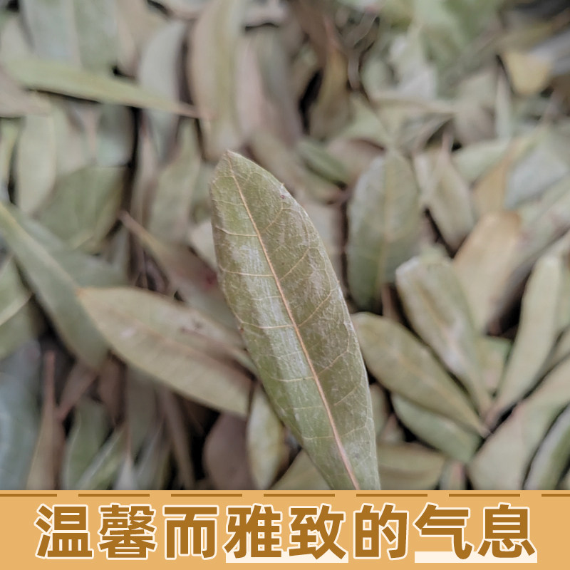 自然真树叶装饰干树叶落叶枫叶自然晒干梧桐叶枯树叶创意标本拍照