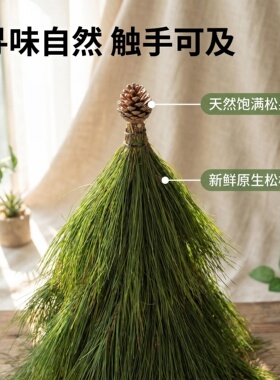 新鲜松枝小树型摆件桌面门店摆放