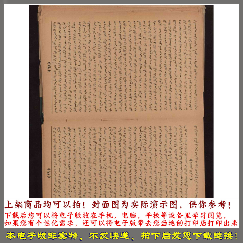 1505年贾拉勒阿尔丁苏尤提一场令人愉快的埃及和开罗历史讨论-图3