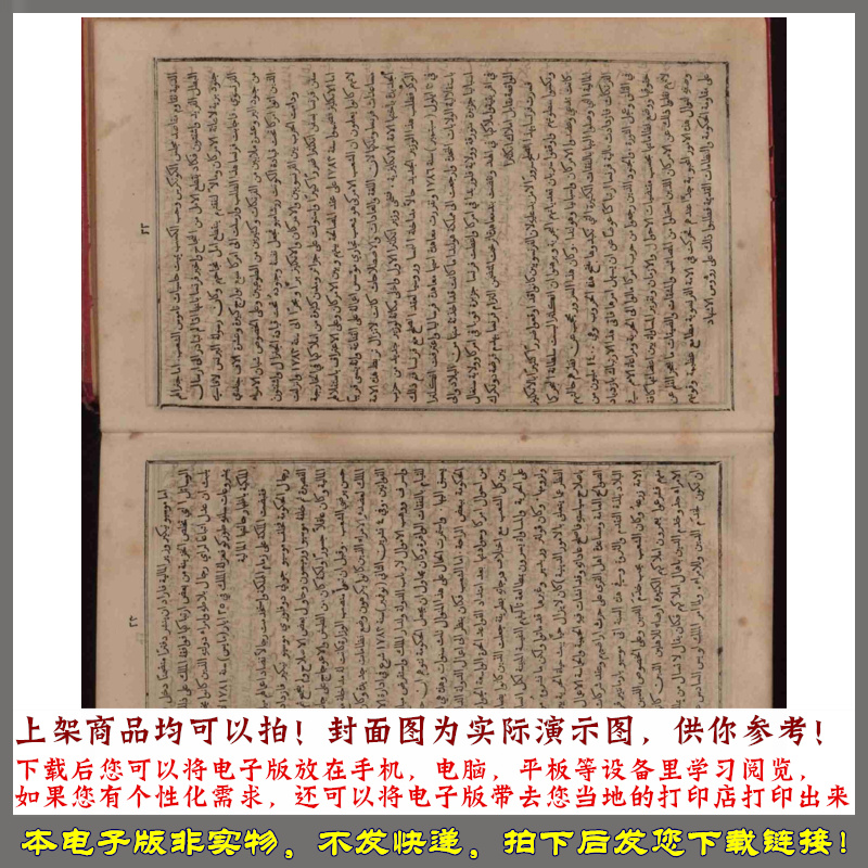 1884年 萨利姆布斯塔尼现代法国历史 - 图2