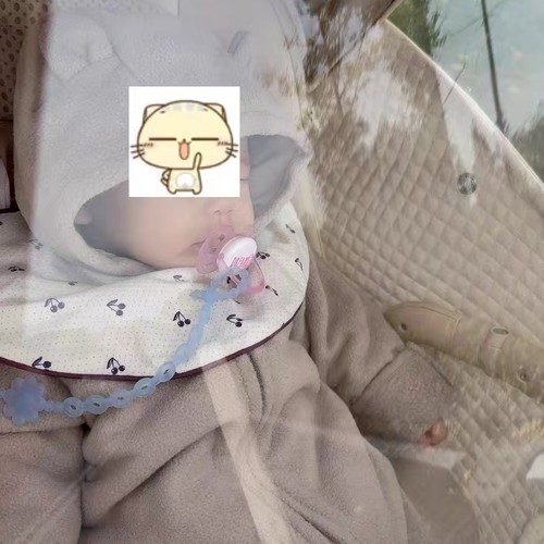 丸丫T6plus遛娃神器保暖罩防风防雨罩 playkids 溜娃车挡风罩冬季 - 图2