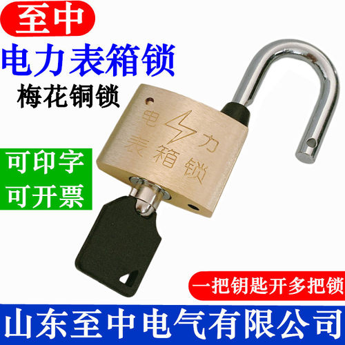 30mm梅花铜锁35mm通开电力表箱锁通用钥匙利德昆仑防水防锈铜挂锁 - 图2