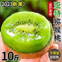 Week To Green Heart Macaque Exotic Fruits Fresh Fruit When Season Full Box Pregnant Woman Red Great Fruit Macaque Peach 3 Yellow