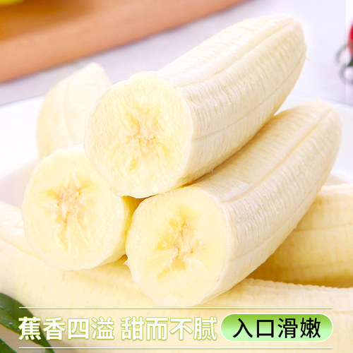 云南新鲜甜糯高山香蕉新鲜水果现摘芭蕉小米青香焦绿批发整箱包邮 - 图2