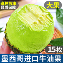 Butter Fruits Fresh Fruits Mexico Imported Avocado 15 Great Fruit Trees Cooked Through Ready-to-eat Baby Covets