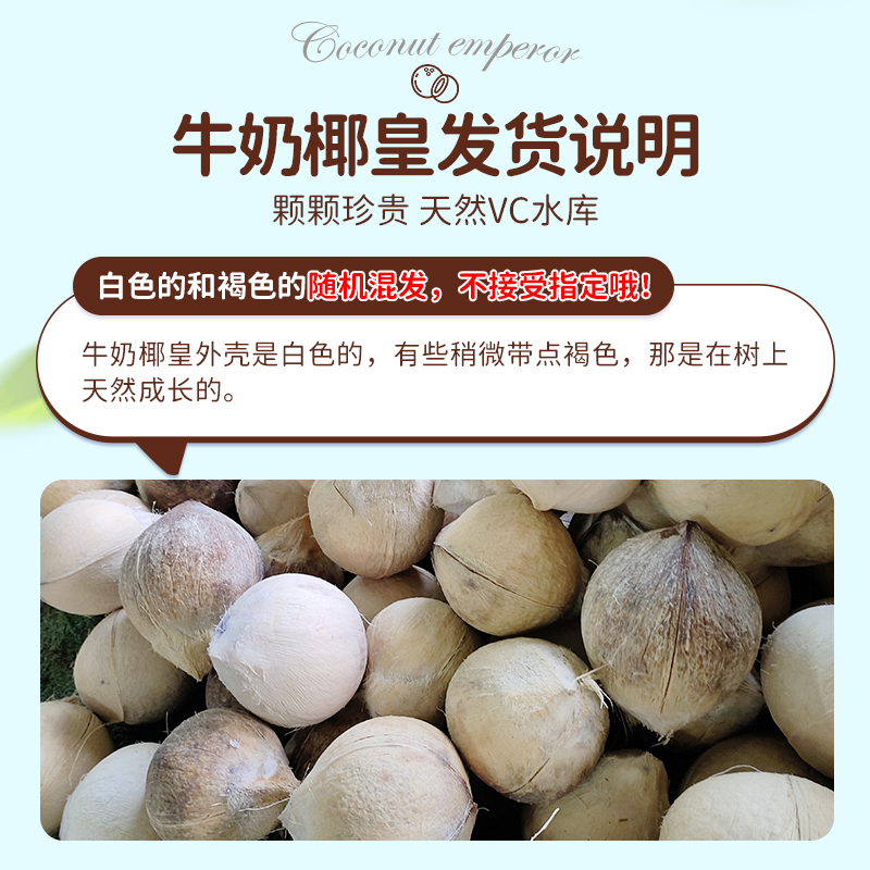 海南牛奶椰皇9个装新鲜椰青当季煲鸡汤老椰子肉椰宝椰汁孕妇整箱3
