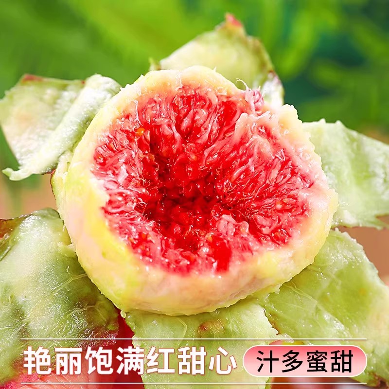 图 3
